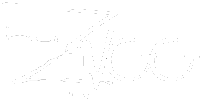 H.U.Zingg